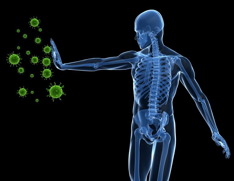Keys to building a stronger immune system